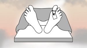 साँकेतिक तस्बिर